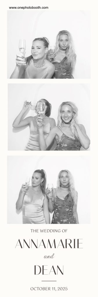 onephotobooth_Vintage booth-Cherry strip template